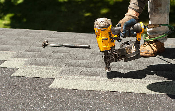Roof Gutter Cleaning in Dale City, VA